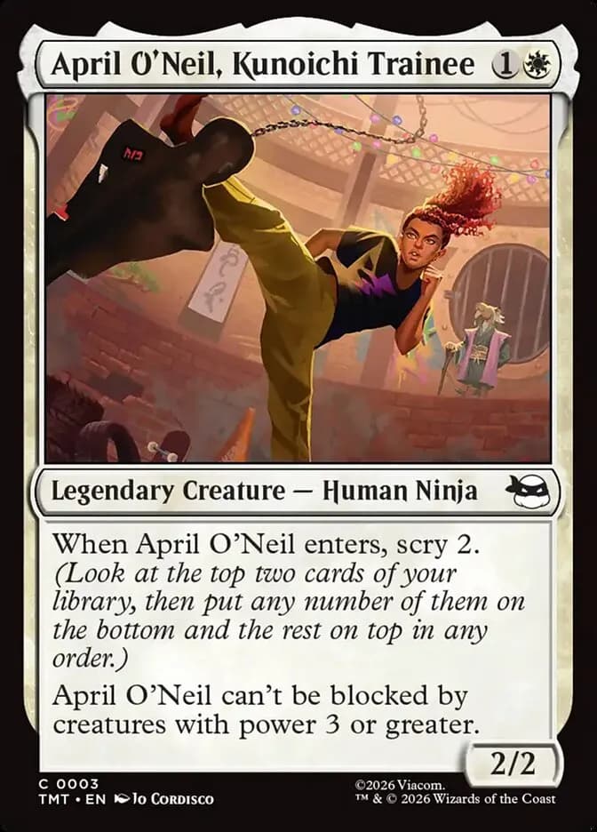 April O'Neil, Kunoichi Trainee - common from Teenage Mutant Ninja Turtles